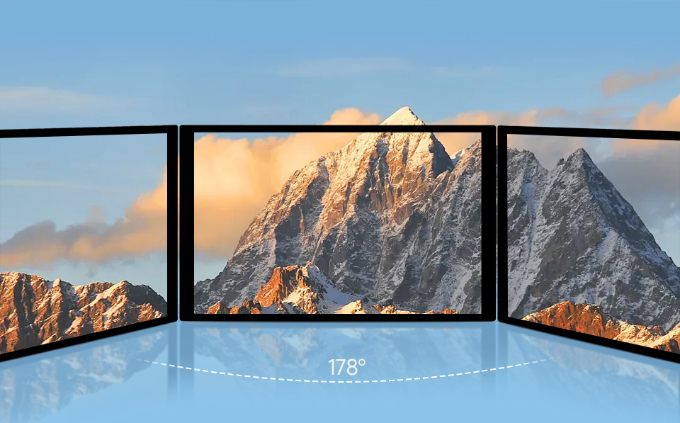 10.1 英寸 DSI 显示屏/触控屏