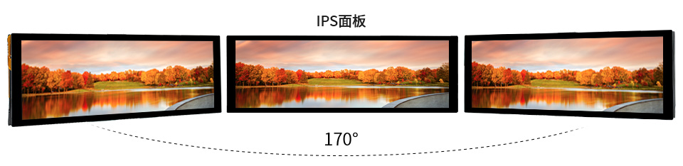 7.9 英寸 DSI 触控屏显示角度