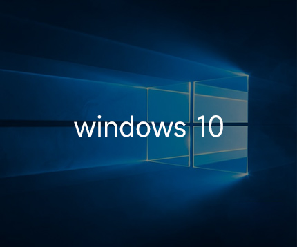 支持 win10