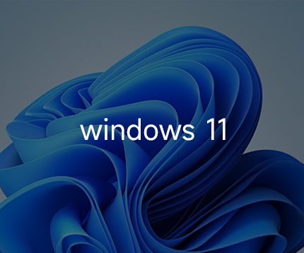 支持 win11
