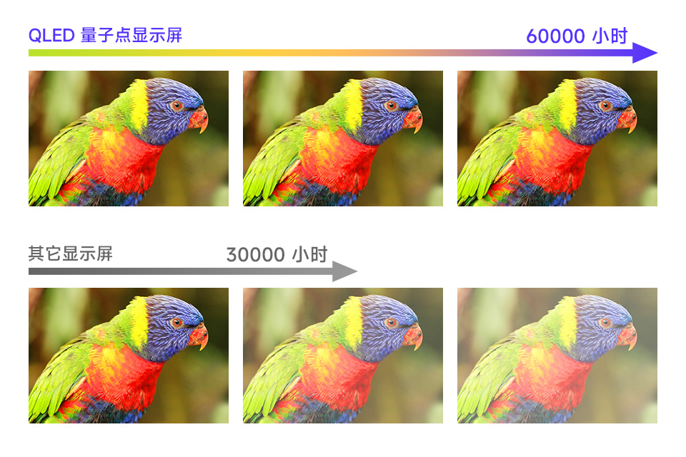 QLED 量子点显示屏与普通显示屏色彩耐久性对比