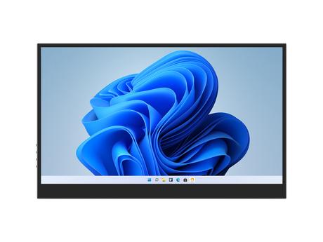 15.6inch FHD Monitor (C)