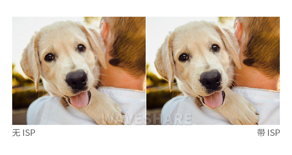 板载 ISP 处理芯片IMX462 星光级摄像头