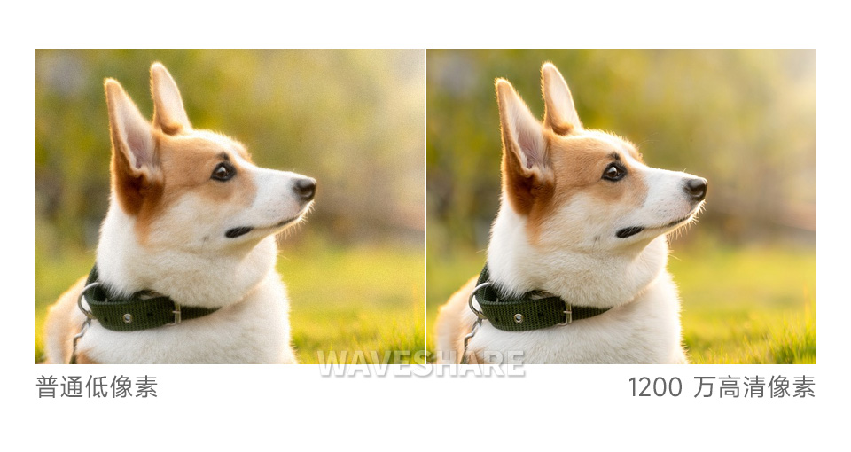 IMX708 1200 万自动对焦摄像头 1200 万像素高清