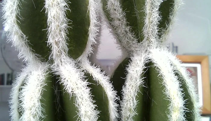 500 万像素摄像头模块连接 USB 线效果图