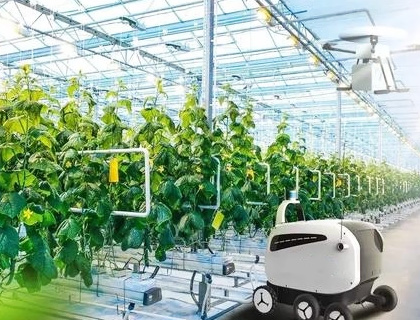 树莓派 LoRa 扩展板应用场景