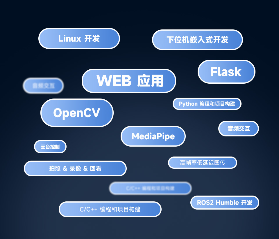 UGV Beast AI 机器人开源全部例程