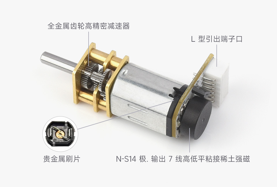 DCGM-N20-12V-EN-200RPM 