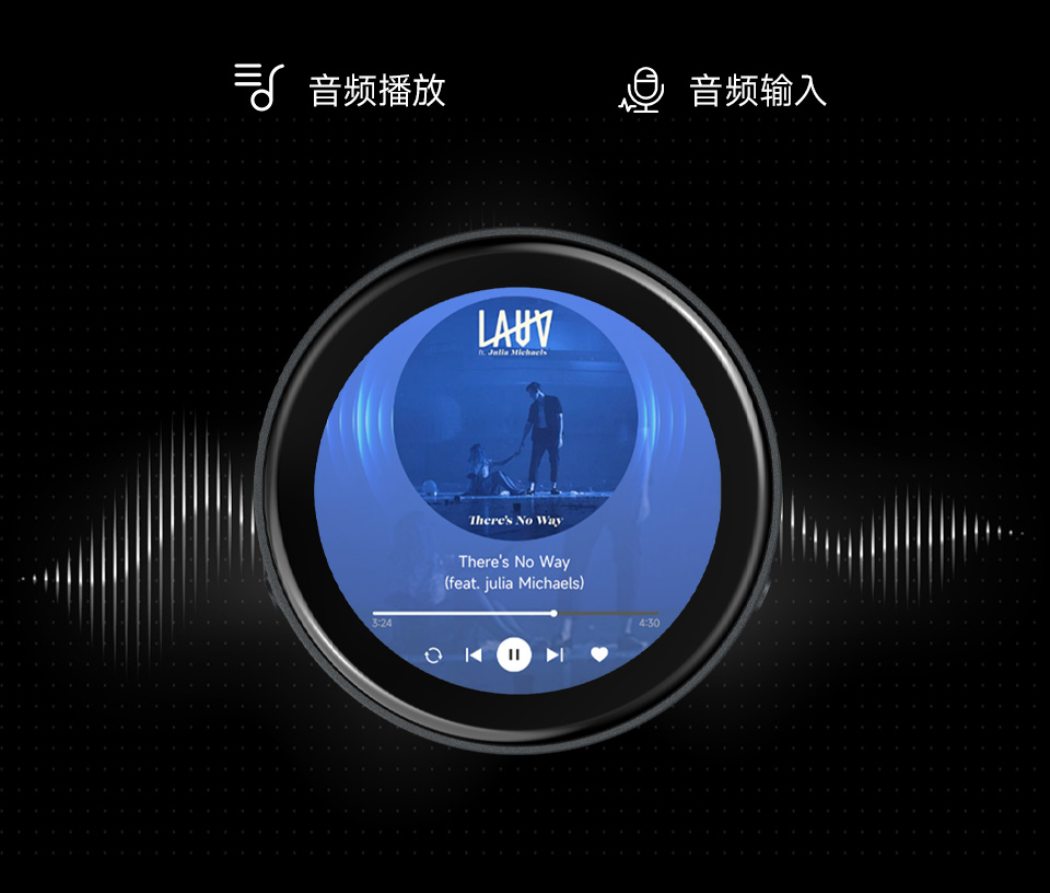 ESP32-C6 1.43 英寸电容触控屏开发板板载音频编解码芯片