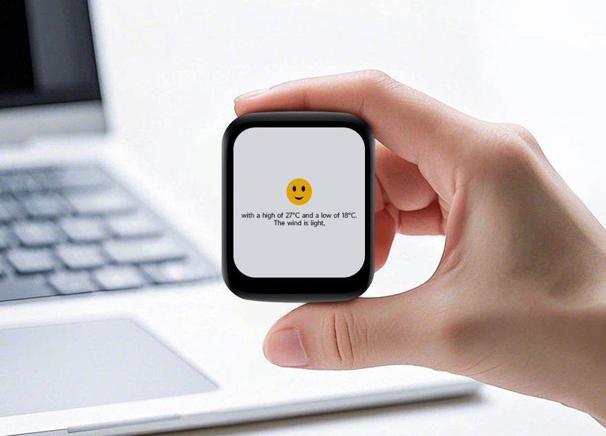 ESP32-C6 1.69 英寸触摸液晶开发板小巧面板