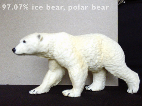 Jetson Xavier NX 图像识别