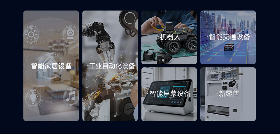 Luckfox Lyra Pi  应用场景