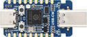 RP2350-USB-CM PIO-USB 公口版